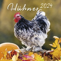 Abbildung von: Hühner 2024 - Korsch Verlag