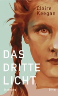 Cover: Das dritte Licht - Steidl