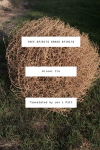 Enlarge image Cover: Tree Spirits Grass Spirits - Nightboat Books