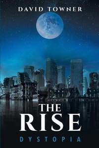 Enlarge image Cover: The Rise - David Towner