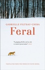 Cover: Feral - Mountain Leopard Press