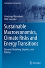 Cover: Sustainable Macroeconomics, Climate Risks and Energy Transitions - Springer