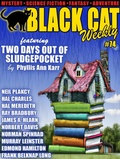 Cover: Black Cat Weekly #74 - Wildside Press