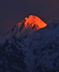 Cover: Guter Friede Himmel - EcoHimal