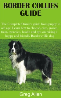 Enlarge image Cover: Border Collies Guide - BookRix