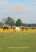 Cover: Wie kommt das Pony auf den Gnadenbrothof? - tredition