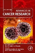 Cover: Pancreatic Cancer: Basic Mechanisms and Therapies: Volume 159 - Academic Press