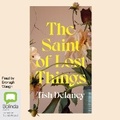 Cover: The Saint of Lost Things - Bolinda Audio Books