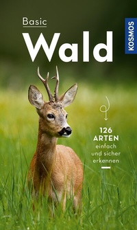 Abbildung von: Basic Wald - Kosmos