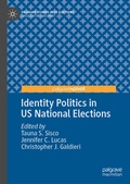 Cover: Identity Politics in US National Elections - Palgrave Macmillan