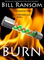 Cover: Burn - WordFire Press