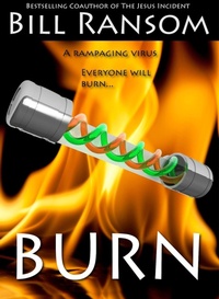 Enlarge image Cover: Burn - WordFire Press