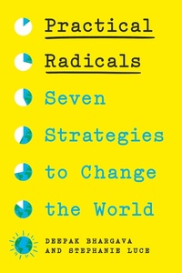 Enlarge image Cover: Practical Radicals - The New Press