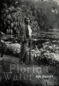 Enlarge image Cover: Florida Water - Haymarket Books