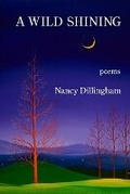 Cover: A Wild Shining - Kelsay Books