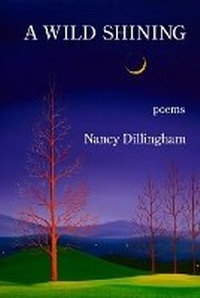Enlarge image Cover: A Wild Shining - Kelsay Books