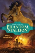 Cover: Dark Sunshine - Aladdin