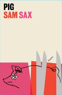 Enlarge image Cover: Pig - Scribner
