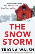 Cover: The Snowstorm - Bookouture