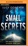 Cover: Small Secrets - Brilliance Audio