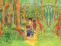 Cover: Que es lo correcto? - Veronica Lane Books