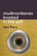 Cover: mudtrombones knotted in the spill - ARTEIDOLIA PRESS