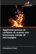 Cover: Agglomerazione di carbone di scarto con biomassa umida di microalghe - Edizioni Sapienza