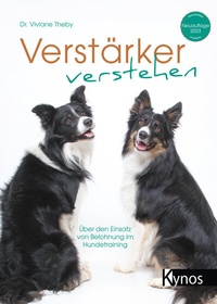 Abbildung von: Verstärker verstehen - Kynos