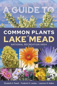 Abbildung von: Guide to Common Plants of Lake Mead National Recreation Area - University of Nevada Press