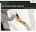 Cover: So etwas wie Gl&uuml;ck - Diwan H&ouml;rbuchverlag