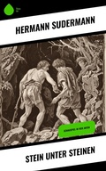 Cover: Stein unter Steinen - Sharp Ink