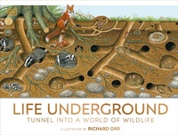 Enlarge image Cover: Life Underground - DK Children