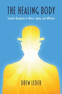 Enlarge image Cover: The Healing Body - Northwestern University Press