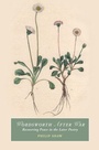 Cover: Wordsworth After War - Cambridge University Press