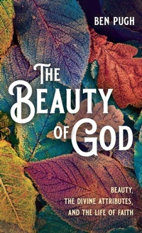 Enlarge image Cover: The Beauty of God - Cascade Books
