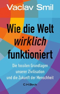 Abbildung von: Wie die Welt wirklich funktioniert - C.H.BECK