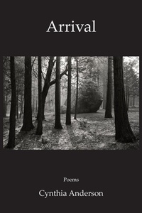 Enlarge image Cover: Arrival - Sheila-Na-Gig Editions