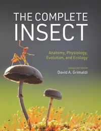Abbildung von: The Complete Insect - Princeton University Press