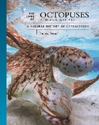Abbildung von: The Lives of Octopuses and Their Relatives - Princeton University Press