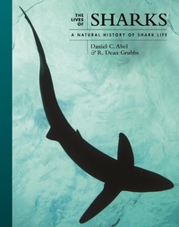 Enlarge image Cover: The Lives of Sharks - Princeton University Press