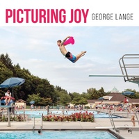 Abbildung von: Picturing Joy - Flashpoint