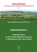 Cover: Excavations at Meillionydd / Meillionydd II - epubli