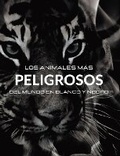 Cover: Los Animales Mas Peligrosos del Mundo en Blanco y Negro - Blurb Inc