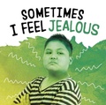 Cover: Sometimes I Feel Jealous - Raintree