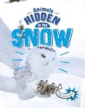 Cover: Animals Hidden in the Snow - Raintree