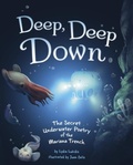 Cover: Deep, Deep Down - Raintree