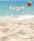 Cover: Beach - Raintree