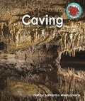 Cover: Caving - Raintree