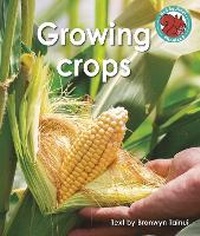 Enlarge image Cover: Growing crops - Raintree
