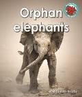 Cover: Orphan elephants - Raintree